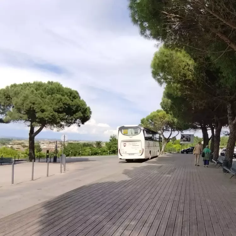 location bus sans chauffeur